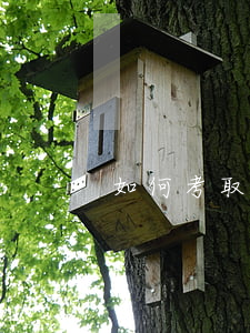 如何考取律师执照,怎么考律师证 如何考取律师执照,怎么考律师证