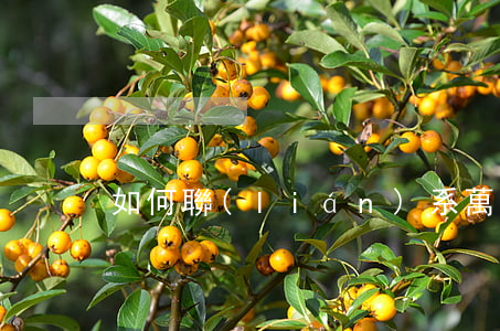 如何聯(lián)系萬淼焱