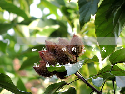 如何聲明自己未欠網(wǎng)貸(如何聲明自己未欠網(wǎng)貸)