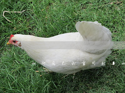 如何自己打官司起訴，如何起訴個(gè)人