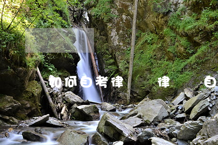 如何自考律師證(律師證自考報考條件)