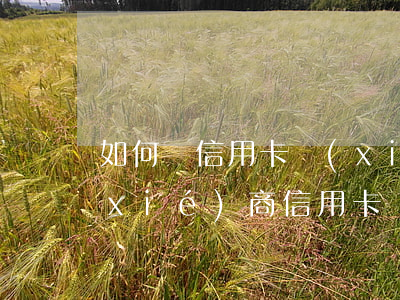 如何與信用卡協(xié)商還款，有效協(xié)商：信用卡還款的策略和技巧