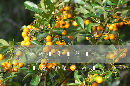 如何與受過行業(yè)處分的律師談話，律師被拘留受行業(yè)處分