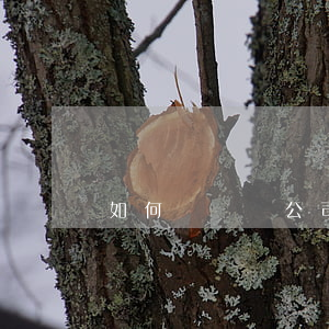 如何與裝飾公司合作