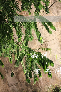 如何舉證不是夫妻共同債務，怎樣舉證不是夫妻共同債務