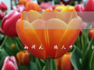 如何花錢揍人平臺(幫忙打人的平臺)
