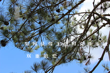 如何获得工伤和交通事故双赔(交通事故工伤双重赔偿)