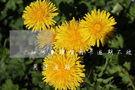 如何處理信用卡逾期不被起訴 法院不受理信用卡逾期
