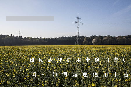 如何處理信用卡逾期會(huì)影響征信嗎-如何處理信用卡逾期會(huì)影響征信嗎知乎