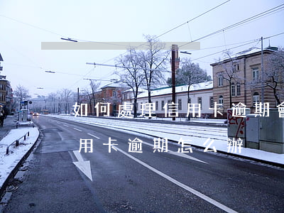 如何處理信用卡逾期會影響征信嗎(征信有信用卡逾期怎么辦)