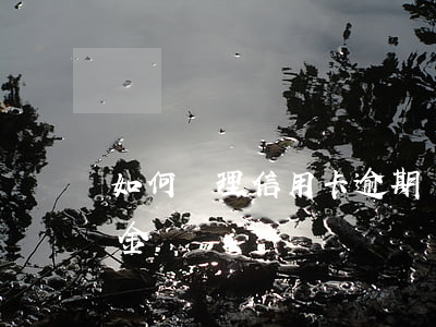 如何處理信用卡逾期違約金(信用卡逾期違約金)