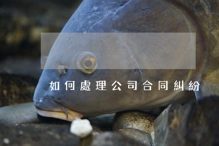 如何處理公司合同糾紛