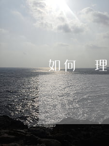 如何處理客車合同糾紛