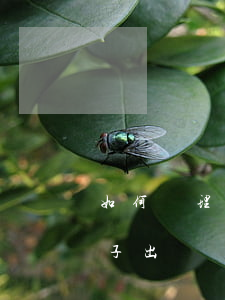 如何處理小三的問題，如何處理小三的問題妻子出軌