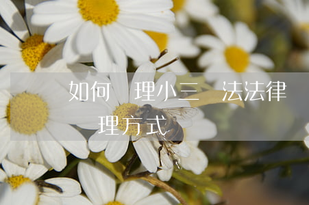 如何處理小三辦法，法律對(duì)小三的處理方式