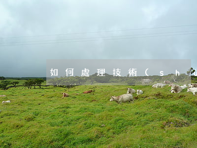 如何處理技術(shù)合同糾紛