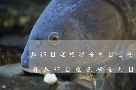 如何處理旅游合同糾紛侵權(quán)事件(如何處理旅游合同糾紛侵權(quán)事件)