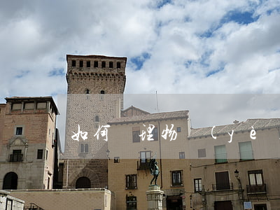 如何處理物業(yè)服務(wù)合同糾紛