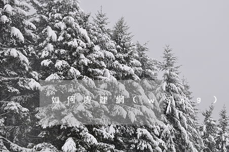 如何處理網(wǎng)貸逾期的人
