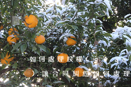 如何處理股權(quán)轉(zhuǎn)讓合同糾紛(如何處理股權(quán)轉(zhuǎn)讓合同糾紛)