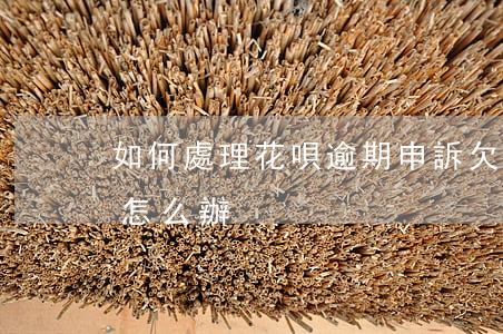 如何處理花唄逾期申訴(欠支付寶花唄逾期了怎么辦)