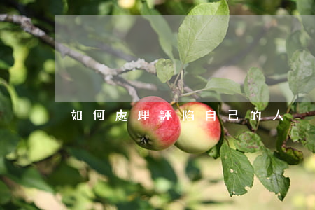 如何處理誣陷自己的人