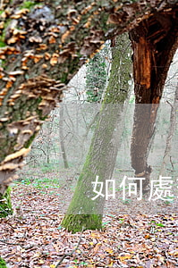 如何處理逾期 如何處理逾期欠款 信用卡