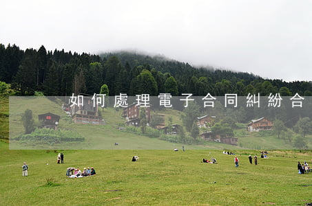 如何處理電子合同糾紛(合同糾紛處理方式)