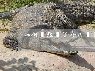 如何處理電子合同糾紛律師
