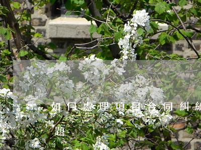 如何處理項目合同糾紛(如何處理合同糾紛問題)
