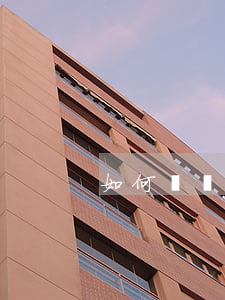 如何處罰逃脫罪