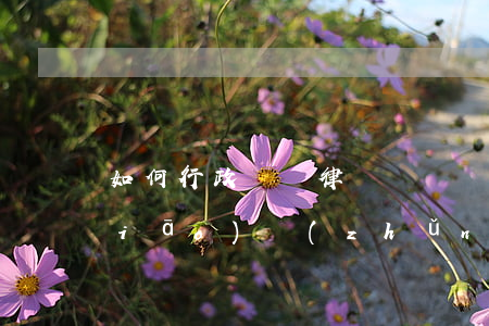 如何行政賠償律師費(賠償官司律師費標(biāo)準(zhǔn))