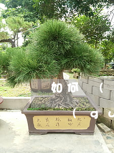 如何規(guī)定租賃合同糾紛管轄(如何規(guī)定租賃合同糾紛管轄)