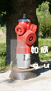 如何規(guī)避每月逾期還款(如何規(guī)避每月逾期還款)