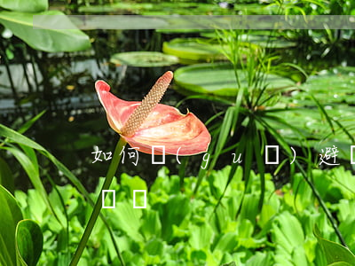 如何規(guī)避經(jīng)濟合同糾紛