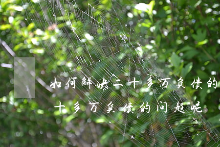 如何解决二十多万负债的问题-如何解决二十多万负债的问题呢