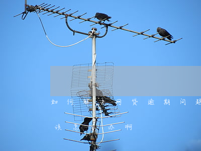 如何解决网贷逾期问题(网贷面临全面逾期,我该怎么办啊)
