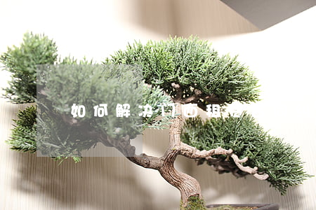 如何解决门面租赁合同纠纷