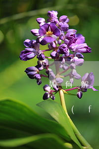 如何解決二十多萬(wàn)負(fù)債 負(fù)債二十多萬(wàn)怎么辦