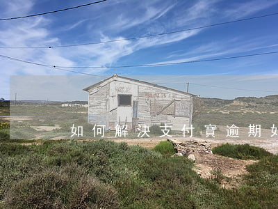 如何解決支付寶逾期(如何解決支付寶逾期)