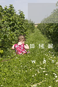 如何解決網(wǎng)貸信用卡逾期(網(wǎng)貸逾期了可以申請(qǐng)信用卡嗎)