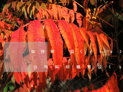 如何解決設(shè)備供應(yīng)合同糾紛(購買設(shè)備與合同不符怎么索賠)