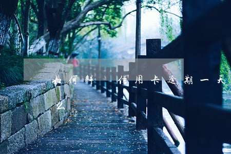 如何解釋信用卡逾期一天(信用卡1天算逾期么)