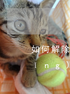 如何解除合同糾紛的保全(被告怎么申請(qǐng)解除財(cái)產(chǎn)保全)