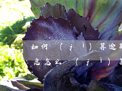 如何計(jì)算逾期利息（信用卡逾期了利息怎么計(jì)算器）