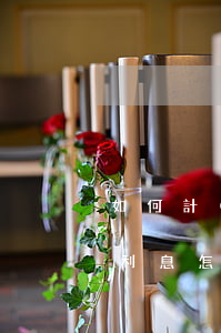 如何計(jì)算逾期還款的利息(逾期還款利息怎么計(jì)算)