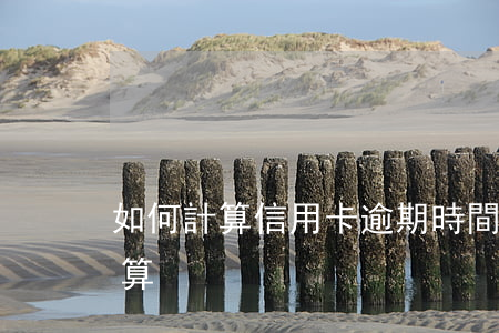 如何計算信用卡逾期時間(信用卡逾期怎么計算)