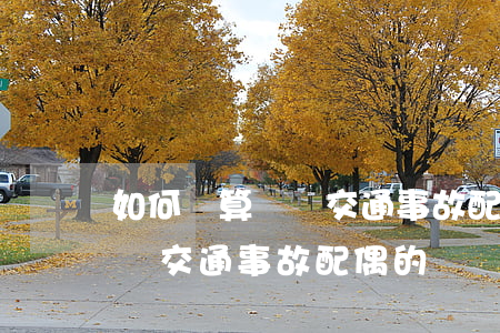 如何計算賠償交通事故配偶的標(如何計算賠償交通事故配偶的標)