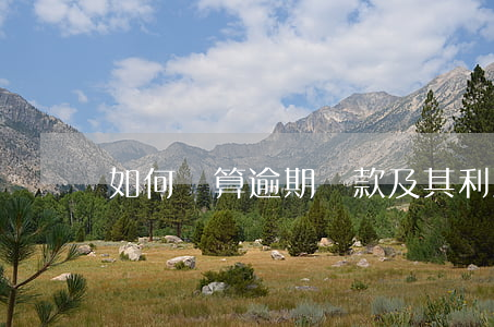 如何計算逾期罰款及其利息？