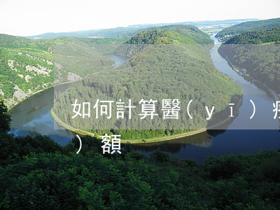 如何計算醫(yī)療事故賠償數(shù)額